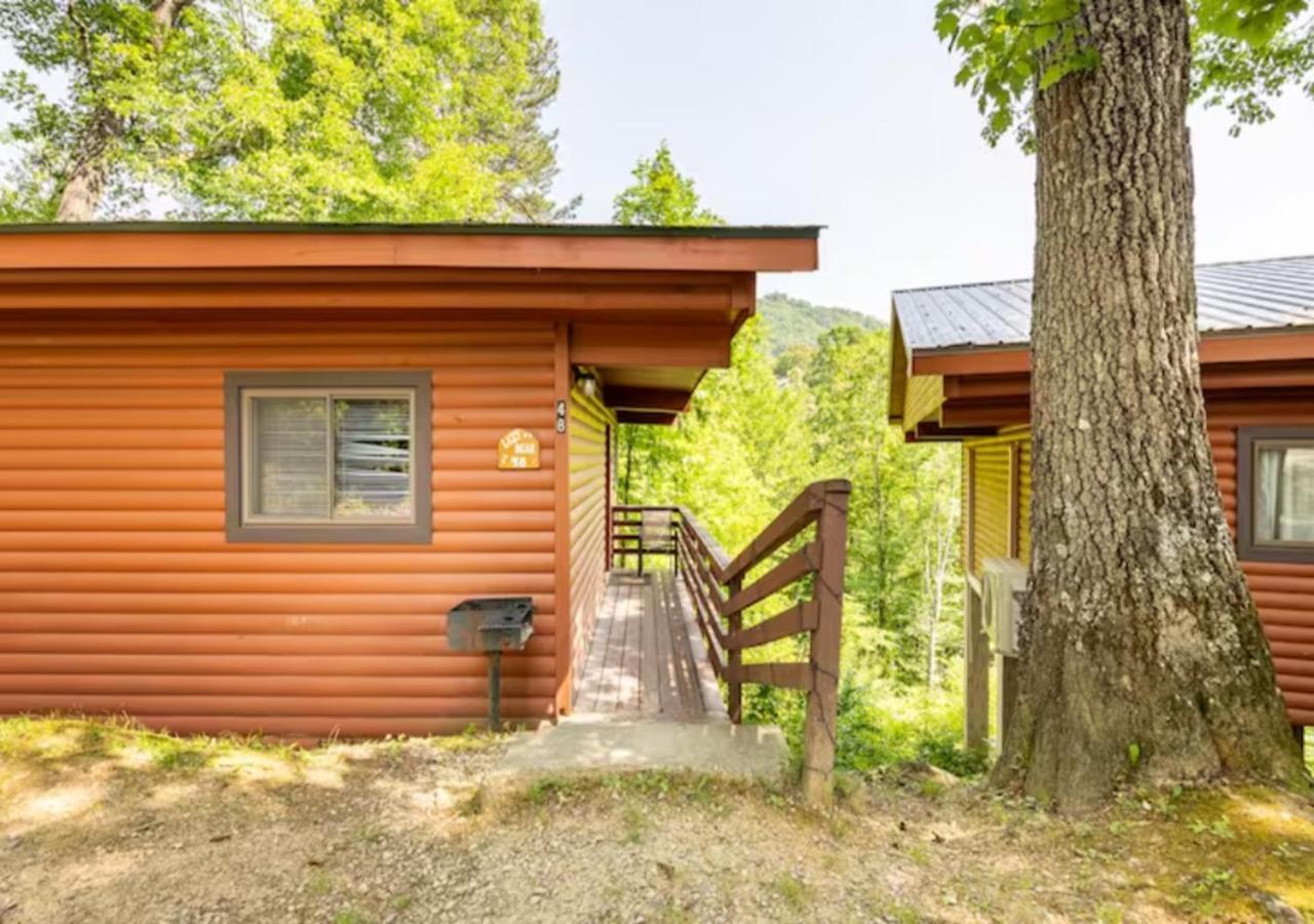 Lazy Bear Cabin Near Nantahala Outdoor Center And Bryson City Exterior photo